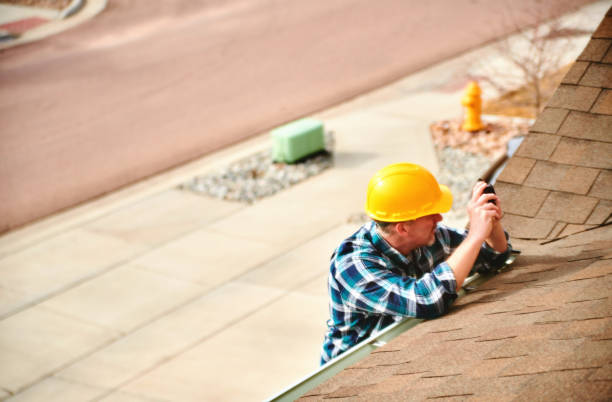 Best Roof Leak Repair  in Knoxvle, IL