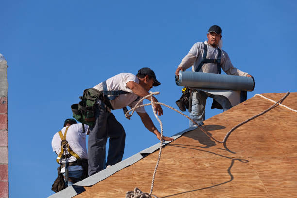Best New Roof Installation  in Knoxvle, IL