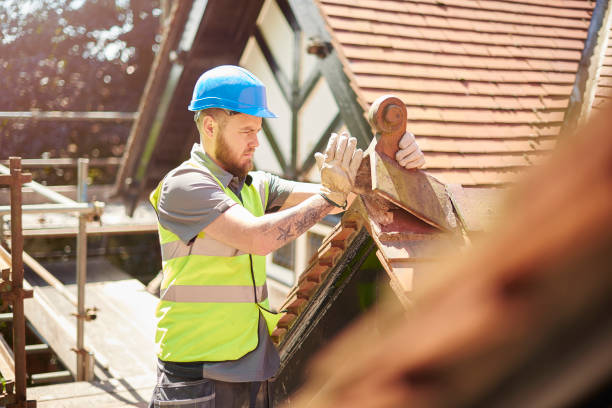 Best Roof Gutter Cleaning  in Knoxvle, IL