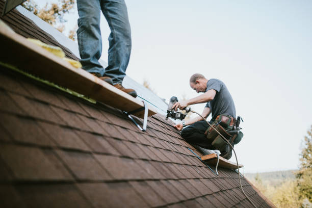 Best Gutter Installation and Roofing  in Knoxvle, IL