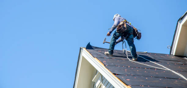 Best New Roof Installation  in Knoxvle, IL